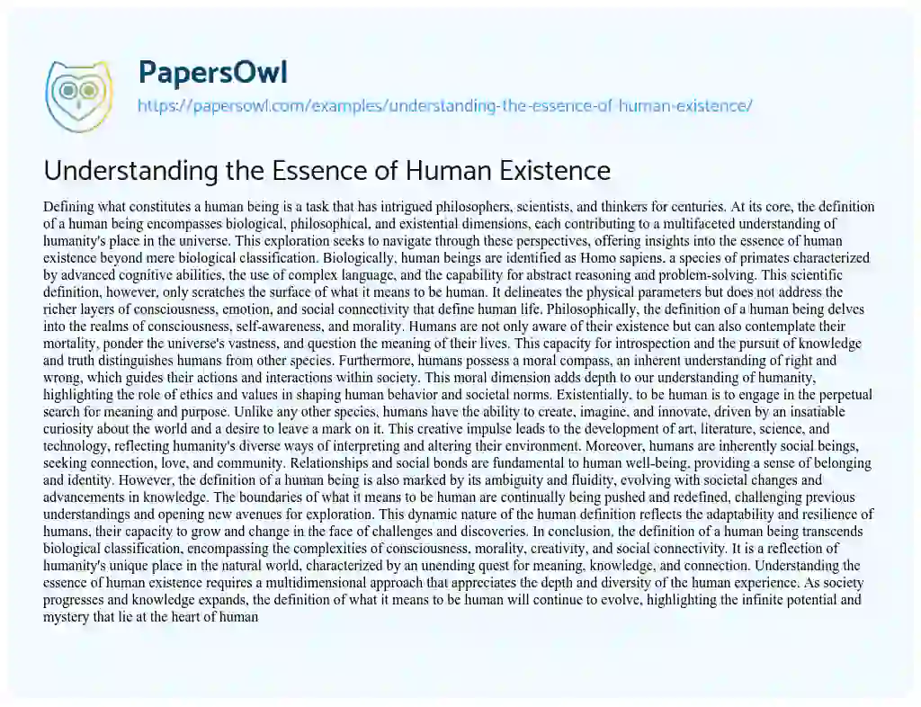 Essay on Understanding the Essence of Human Existence