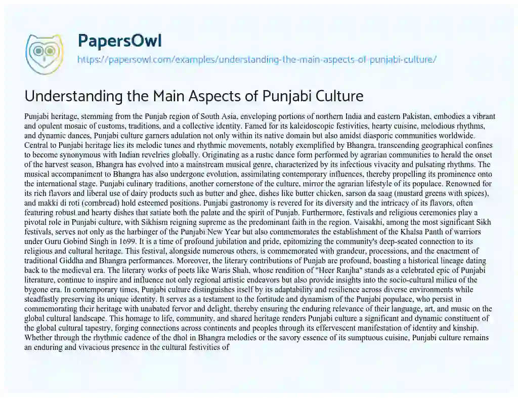 Essay on Understanding the Main Aspects of Punjabi Culture