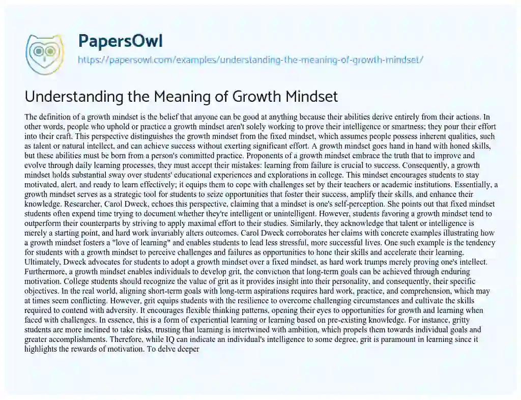 Essay on Understanding the Meaning of Growth Mindset