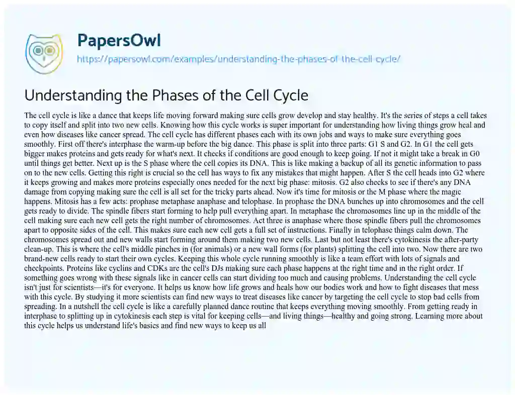 Essay on Understanding the Phases of the Cell Cycle