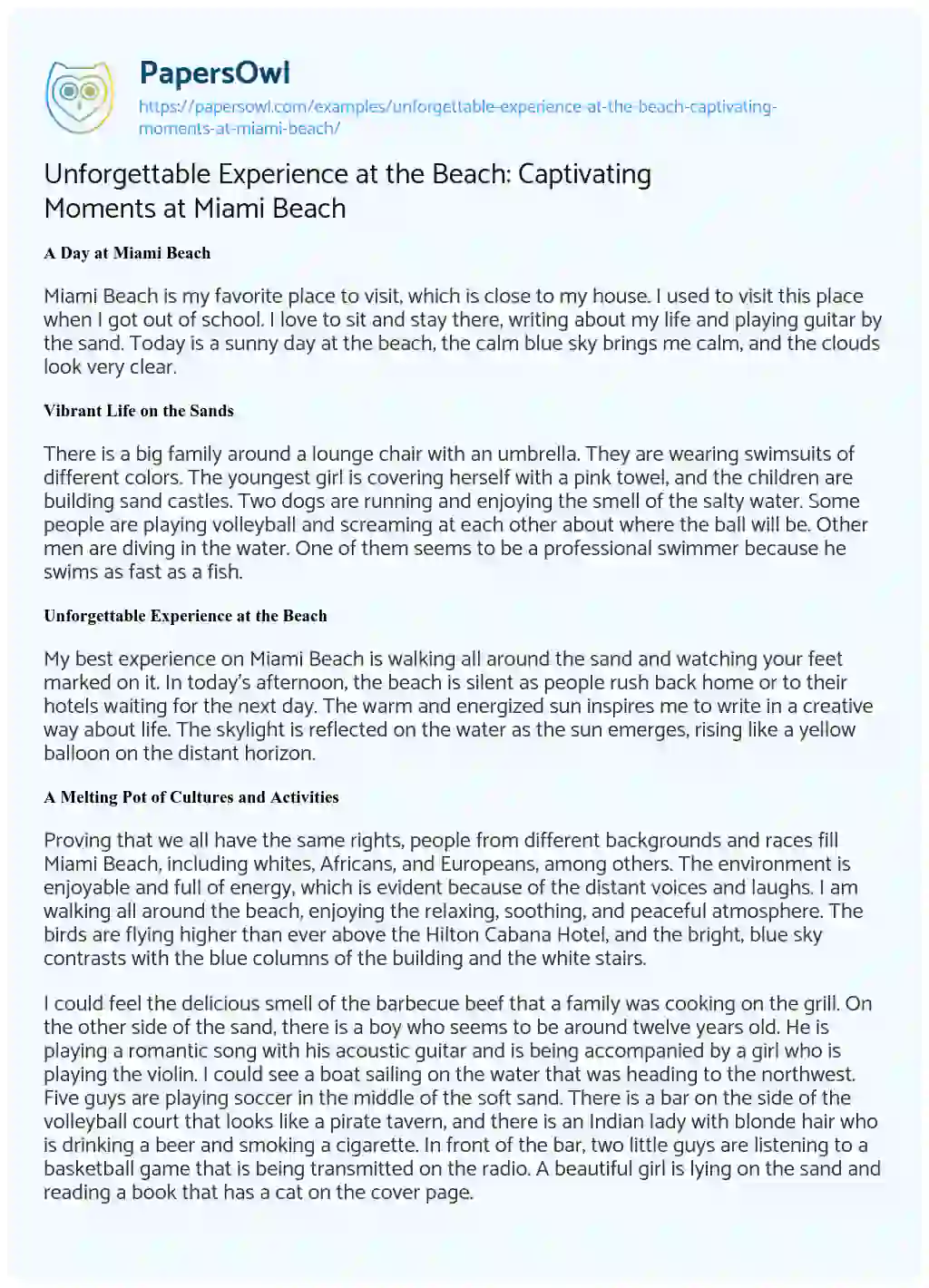 Essay on Unforgettable Experience at the Beach: Captivating Moments at Miami Beach