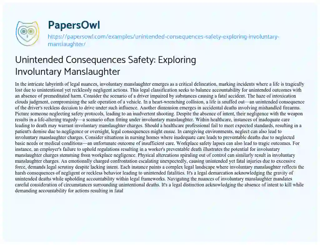Essay on Unintended Consequences Safety: Exploring Involuntary Manslaughter
