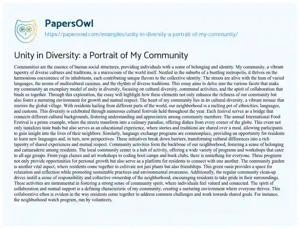 Essay on Unity in Diversity: a Portrait of My Community