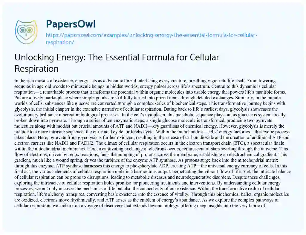 Essay on Unlocking Energy: the Essential Formula for Cellular Respiration