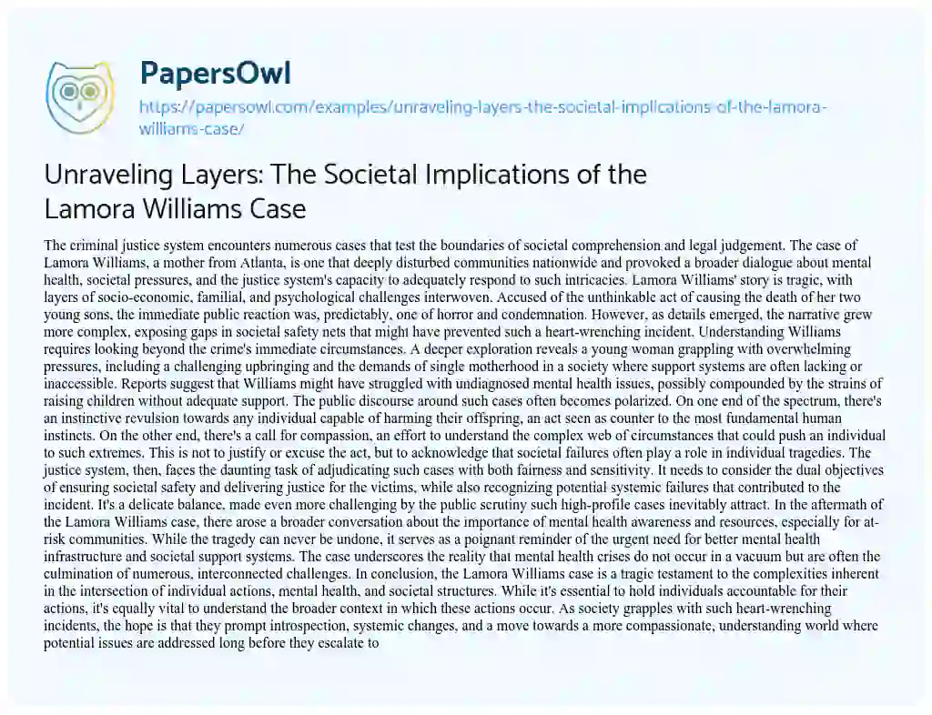 Essay on Unraveling Layers: the Societal Implications of the Lamora Williams Case