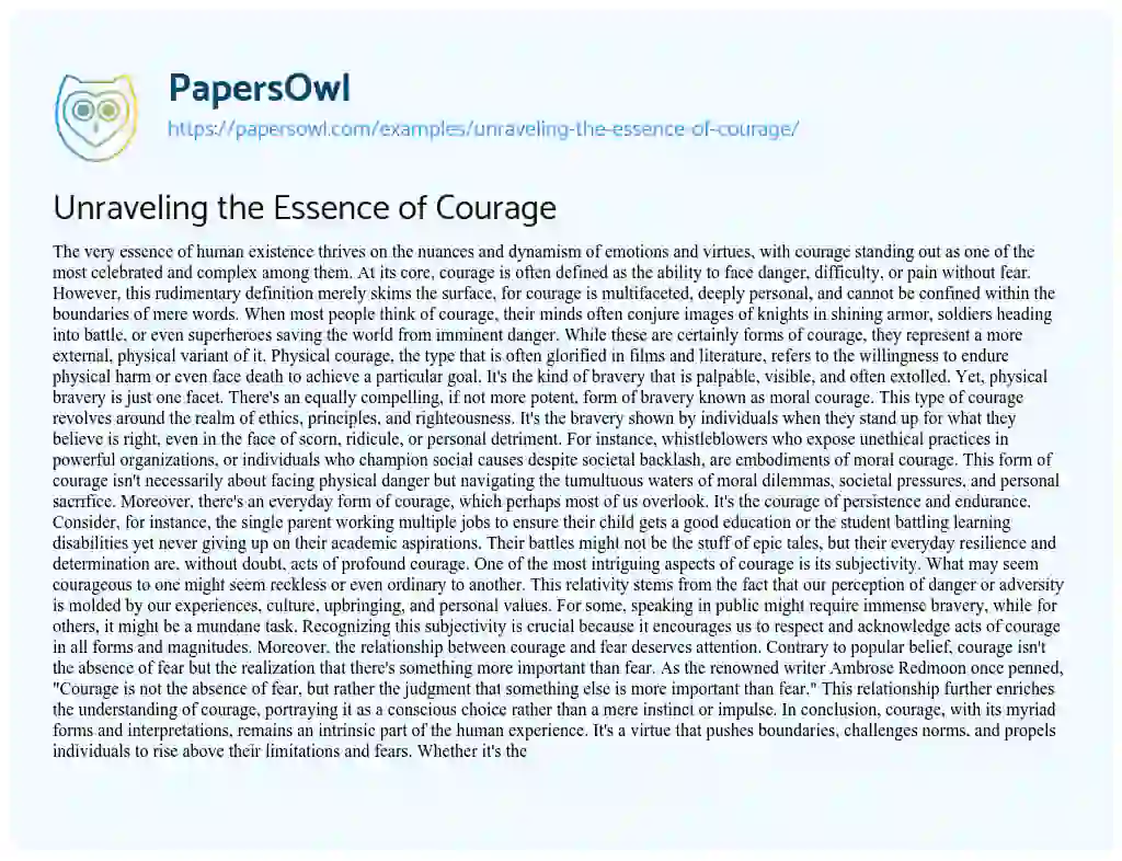 Essay on Unraveling the Essence of Courage