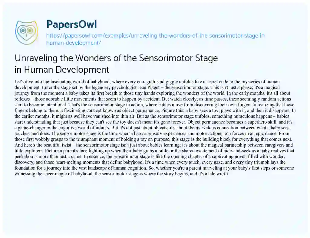 Essay on Unraveling the Wonders of the Sensorimotor Stage in Human Development