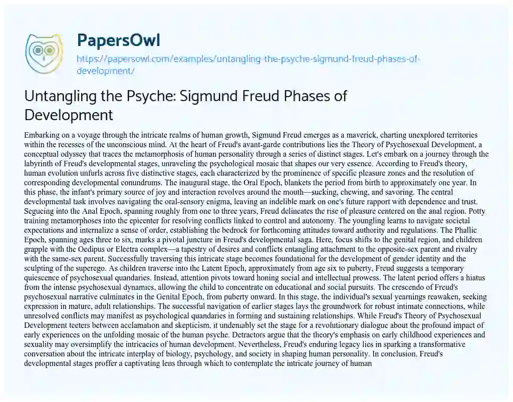 Essay on Untangling the Psyche: Sigmund Freud Phases of Development