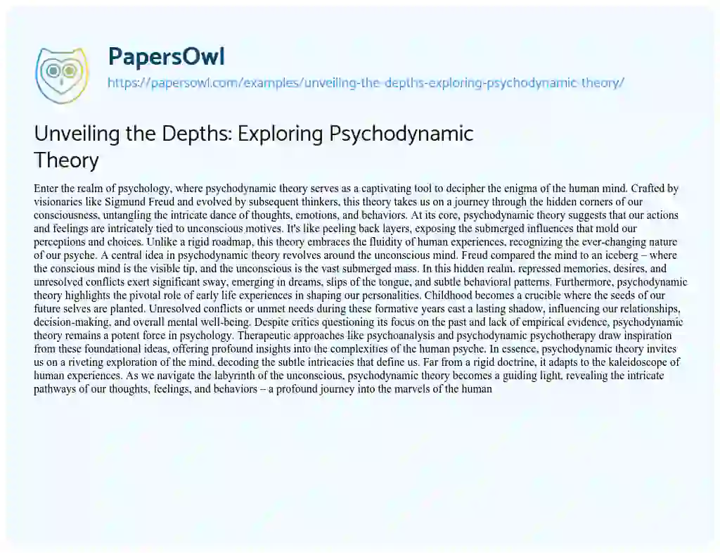 psychodynamic perspective essay