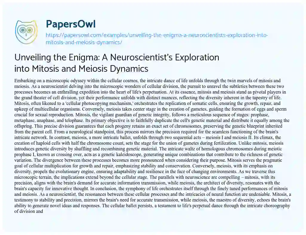 Essay on Unveiling the Enigma: a Neuroscientist’s Exploration into Mitosis and Meiosis Dynamics