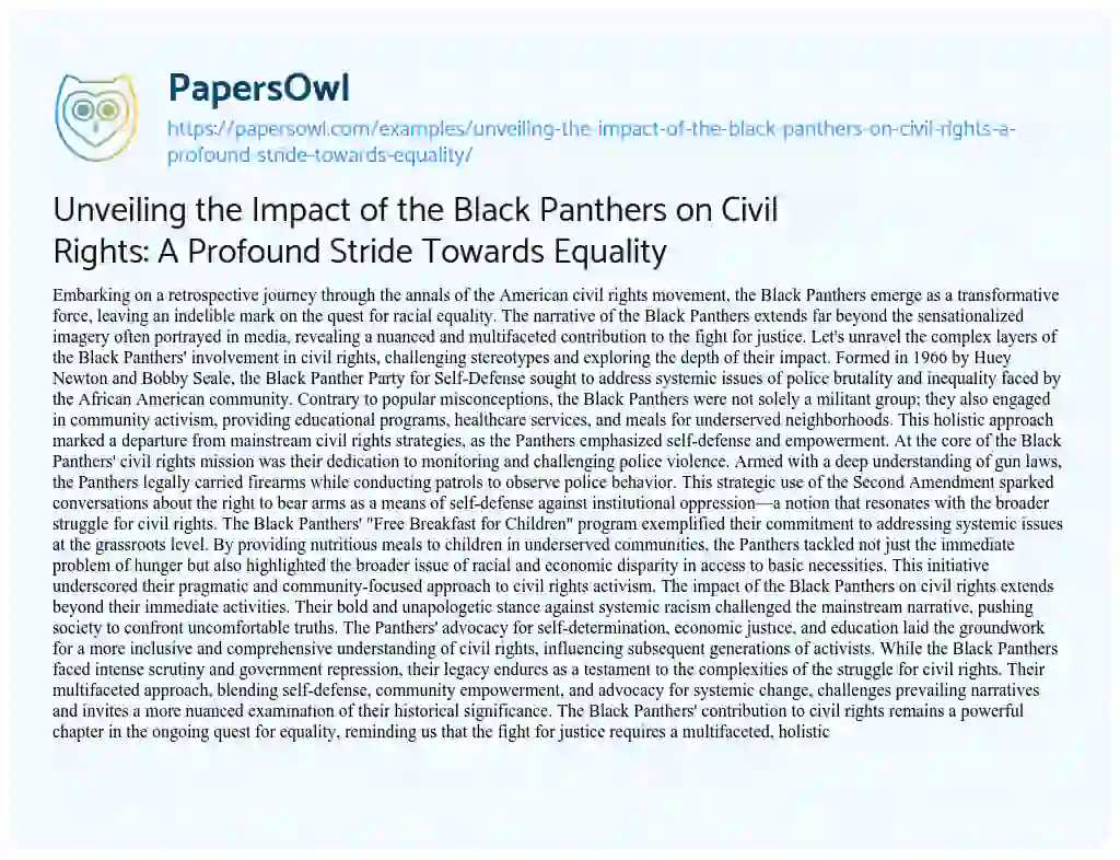 Essay on Unveiling the Impact of the Black Panthers on Civil Rights: a Profound Stride Towards Equality
