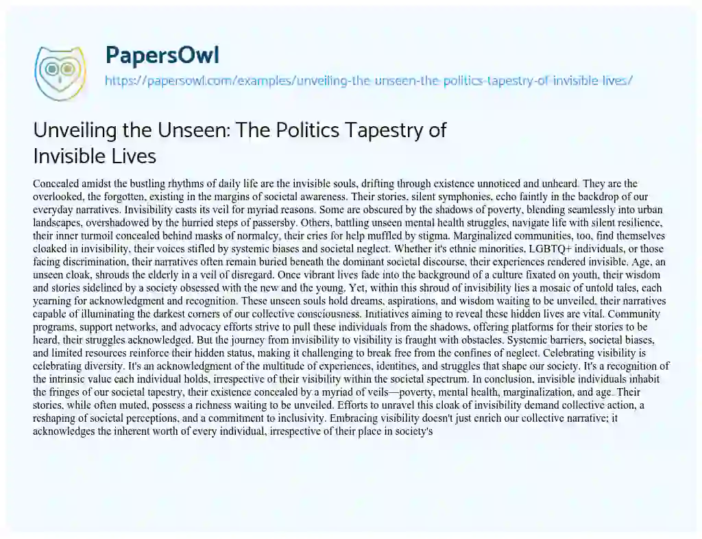Essay on Unveiling the Unseen: the Politics Tapestry of Invisible Lives