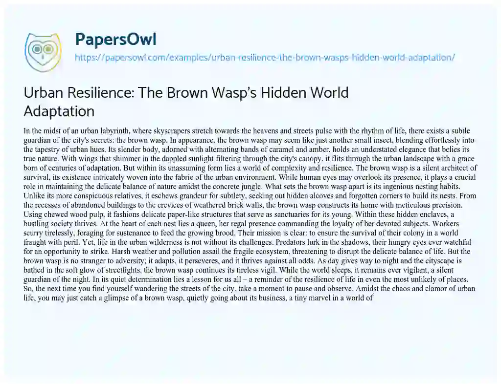 Essay on Urban Resilience: the Brown Wasp’s Hidden World Adaptation