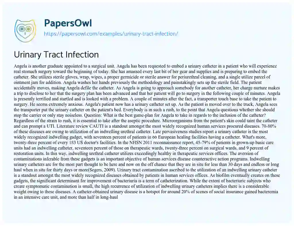 Essay on Urinary Tract Infection