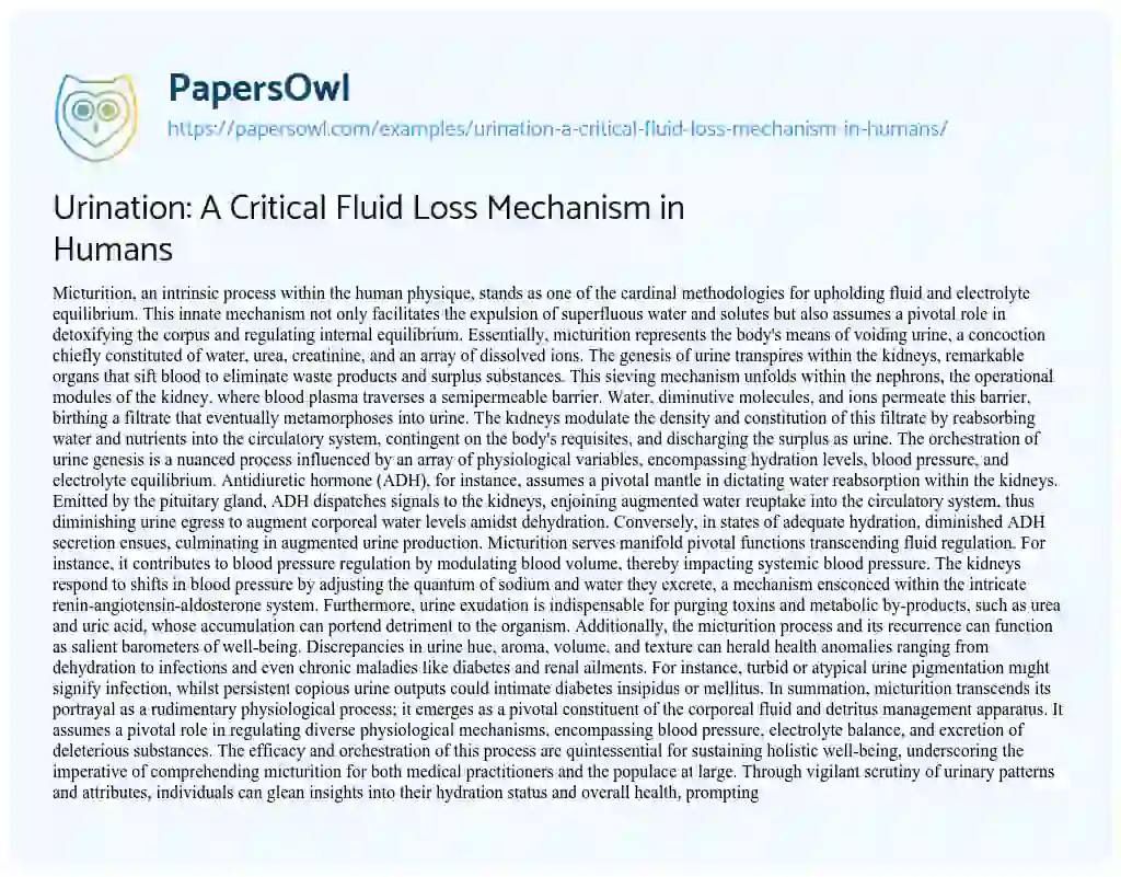 Essay on Urination: a Critical Fluid Loss Mechanism in Humans