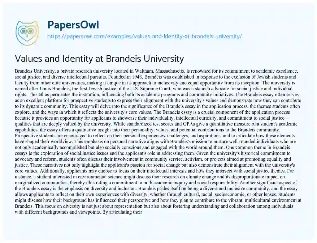 Essay on Values and Identity at Brandeis University