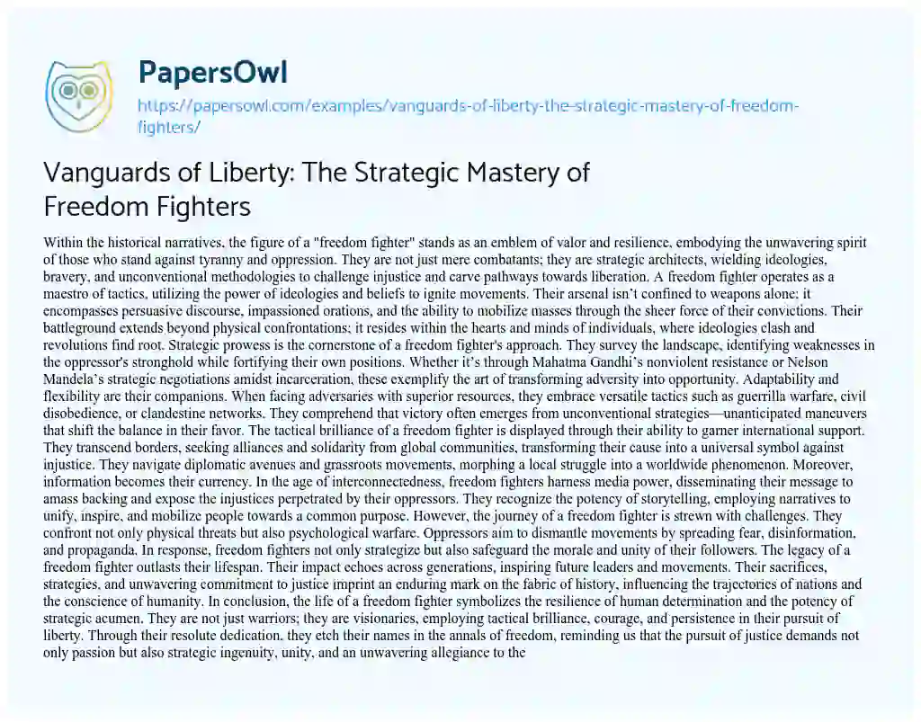 Essay on Vanguards of Liberty: the Strategic Mastery of Freedom Fighters