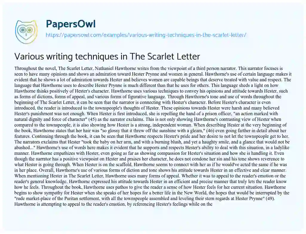 Essay on Various Writing Techniques in the Scarlet Letter