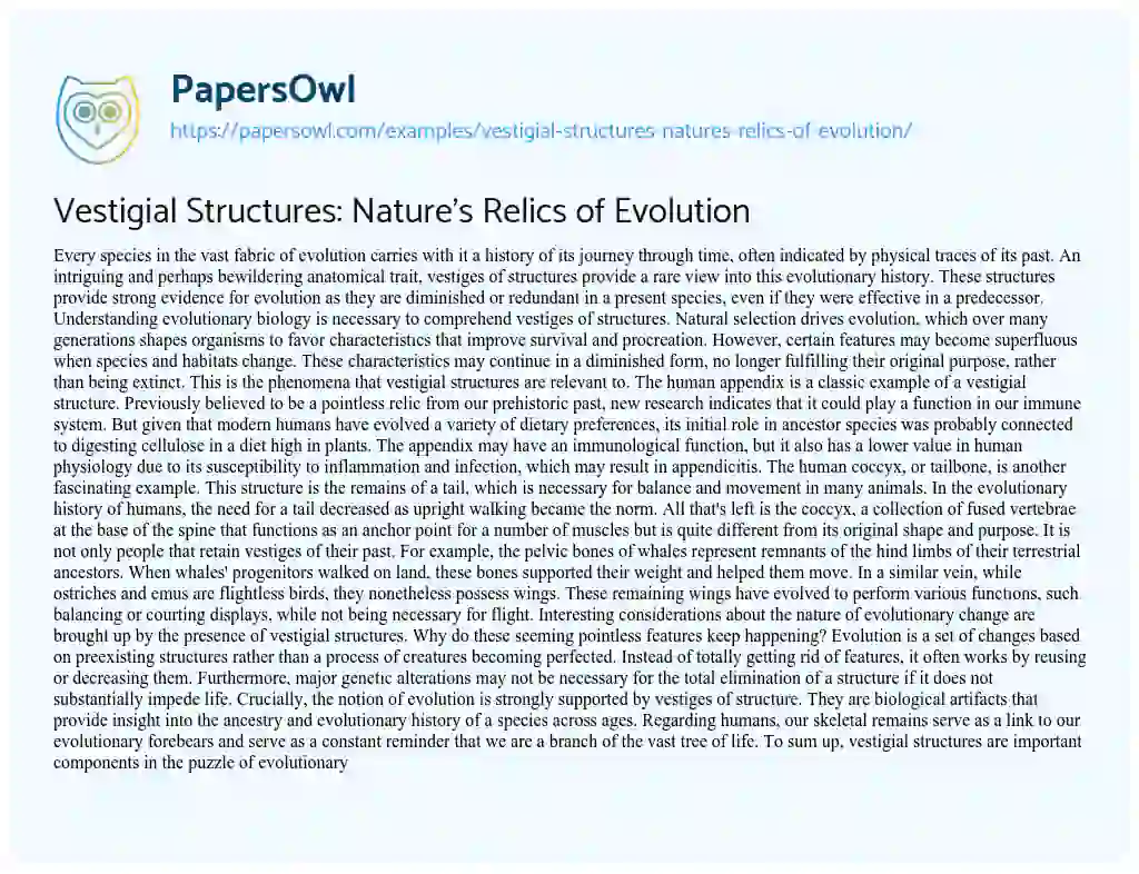 Essay on Vestigial Structures: Nature’s Relics of Evolution