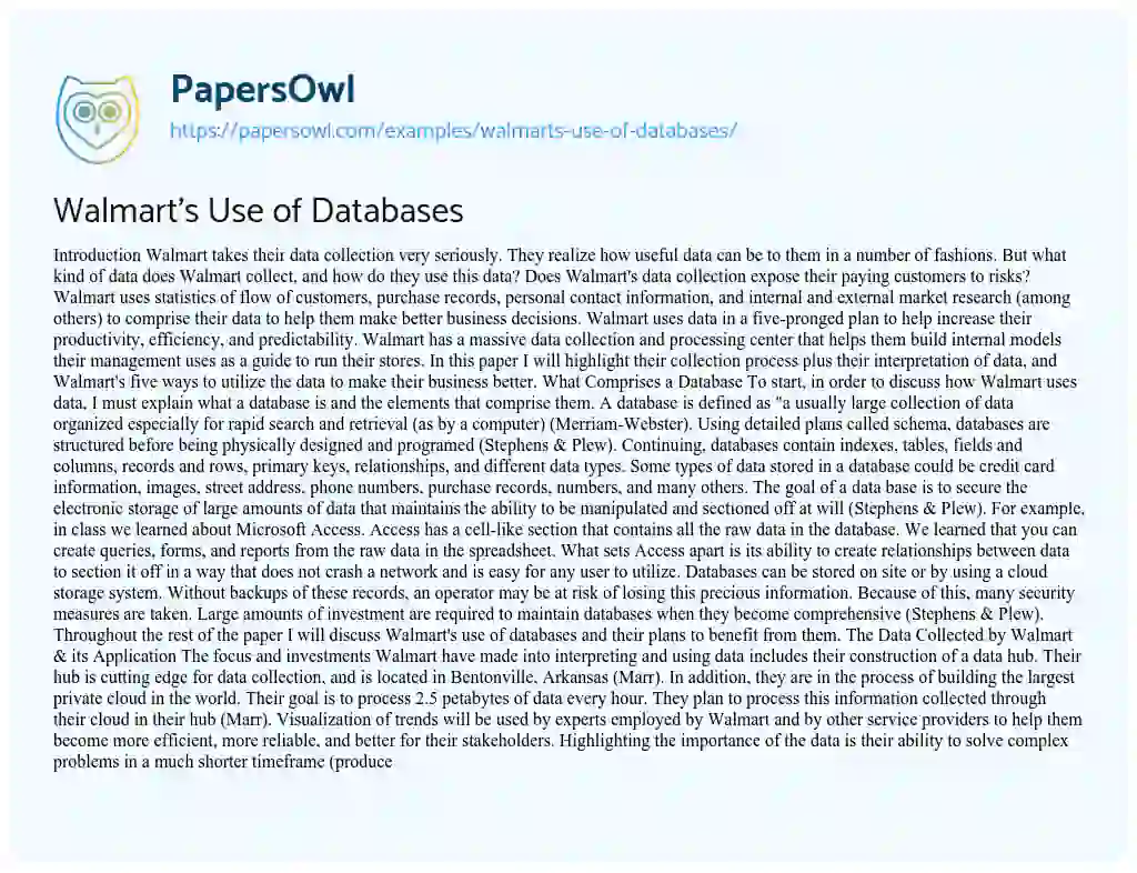 Essay on Walmart’s Use of Databases