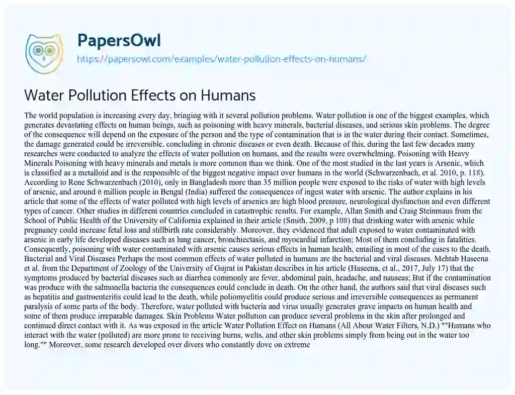 Essay on Water Pollution Effects on Humans