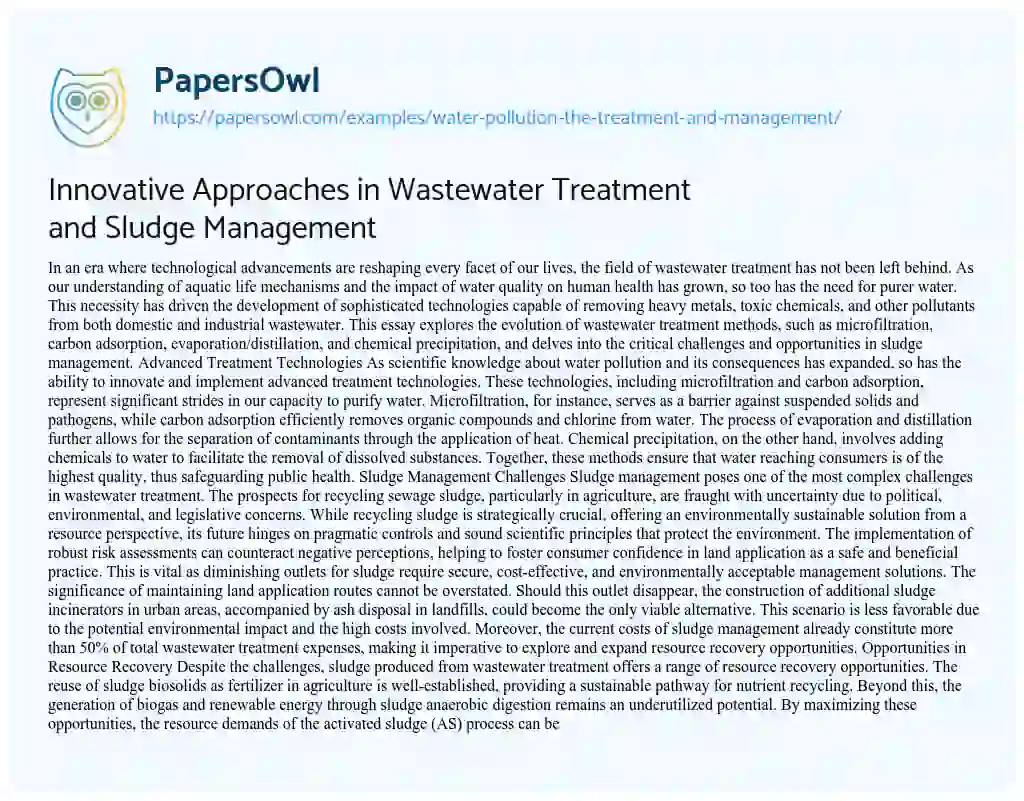 Essay on Water Pollution: the Treatment and Management