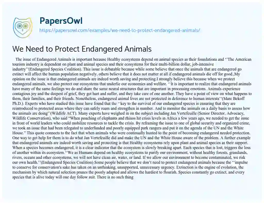 We Need to Protect Endangered Animals - Free Essay Example - 776 Words |  