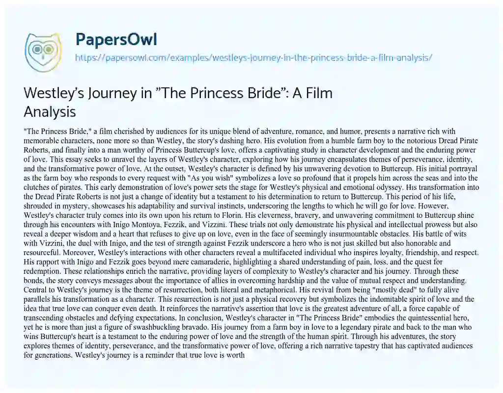 Essay on Westley’s Journey in “The Princess Bride”: a Film Analysis