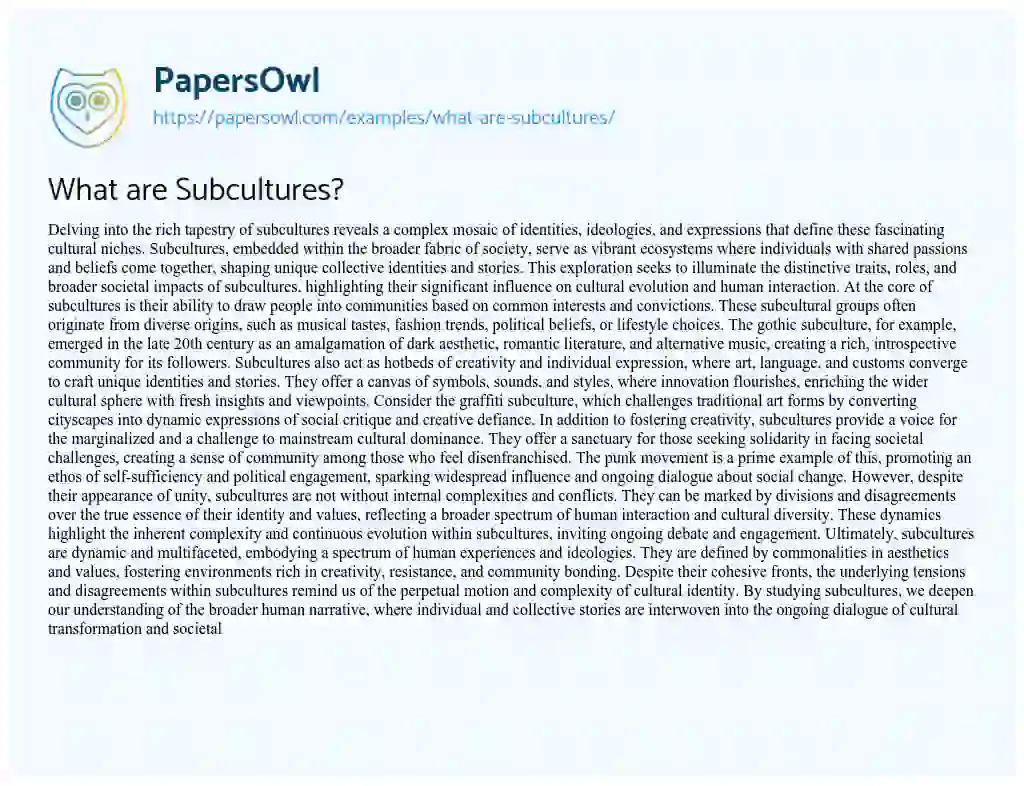Essay on What are Subcultures?