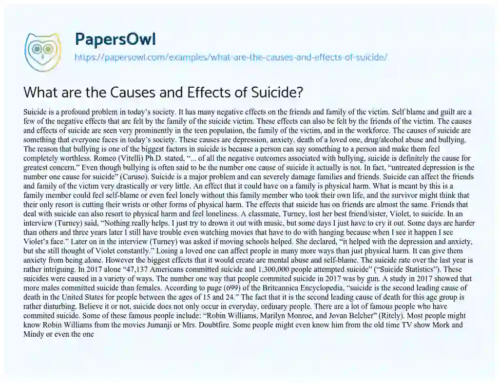Essay on What are the Causes and Effects of Suicide?
