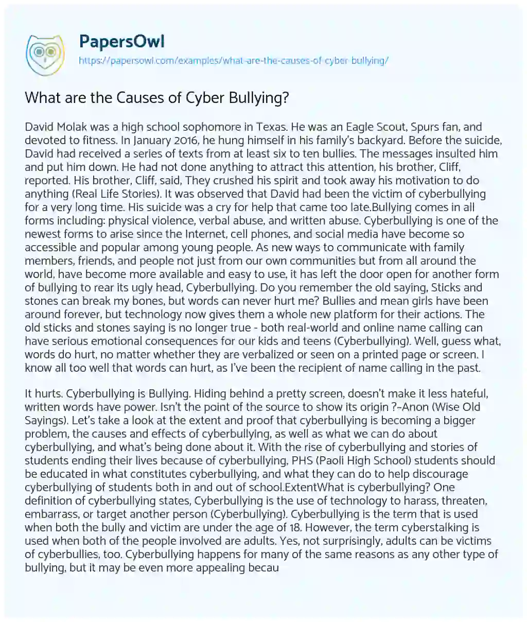 What are the Causes of Cyber Bullying? essay