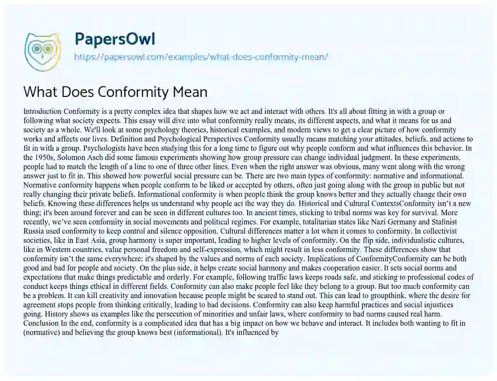 Essay on What does Conformity Mean