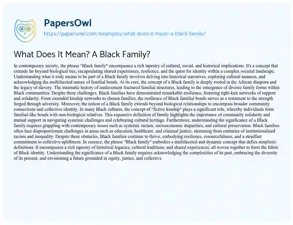Essay on What does it Mean? a Black Family?
