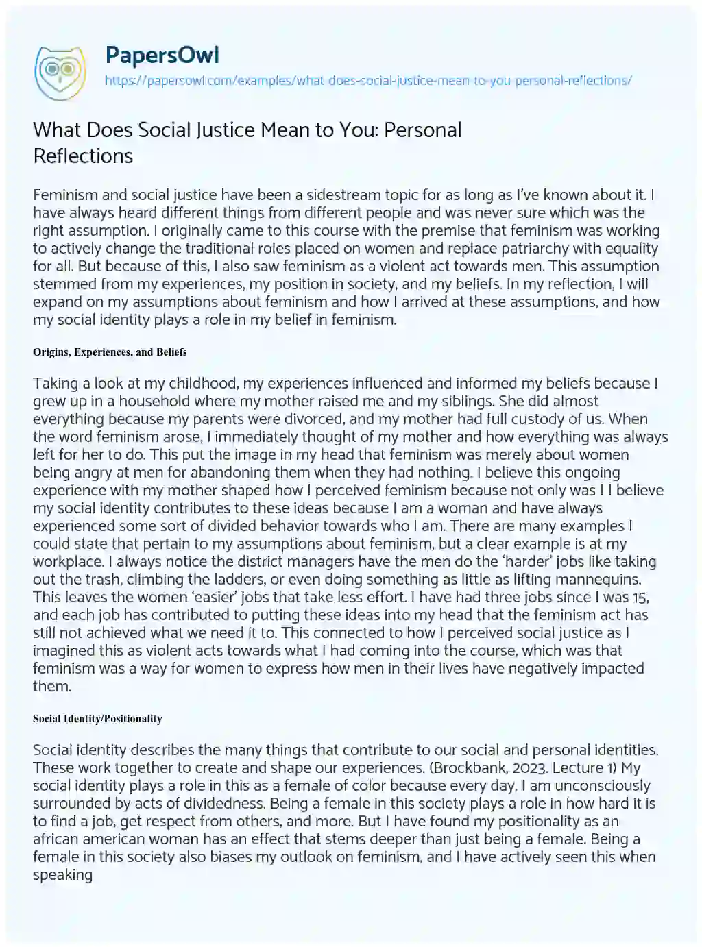 Essay on What does Social Justice Mean to You: Personal Reflections