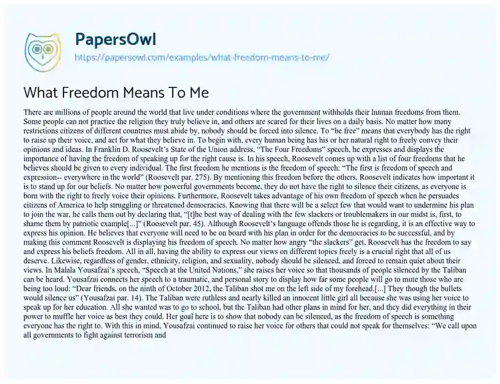 What Freedom Means to me essay