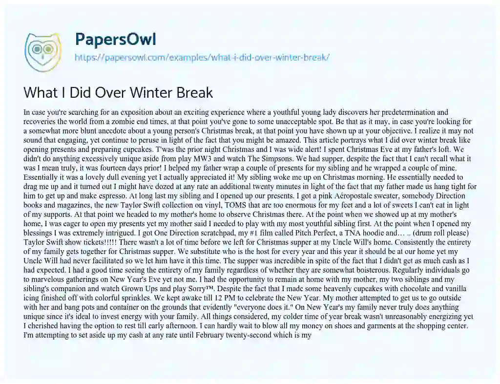 Essay on What i did over Winter Break