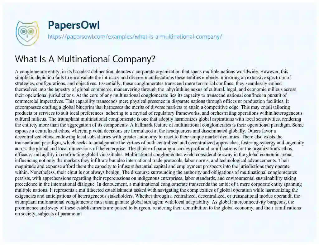 Essay on What is a Multinational Company?