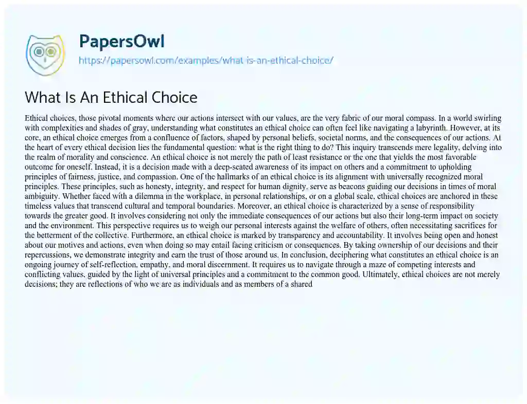 Essay on What is an Ethical Choice