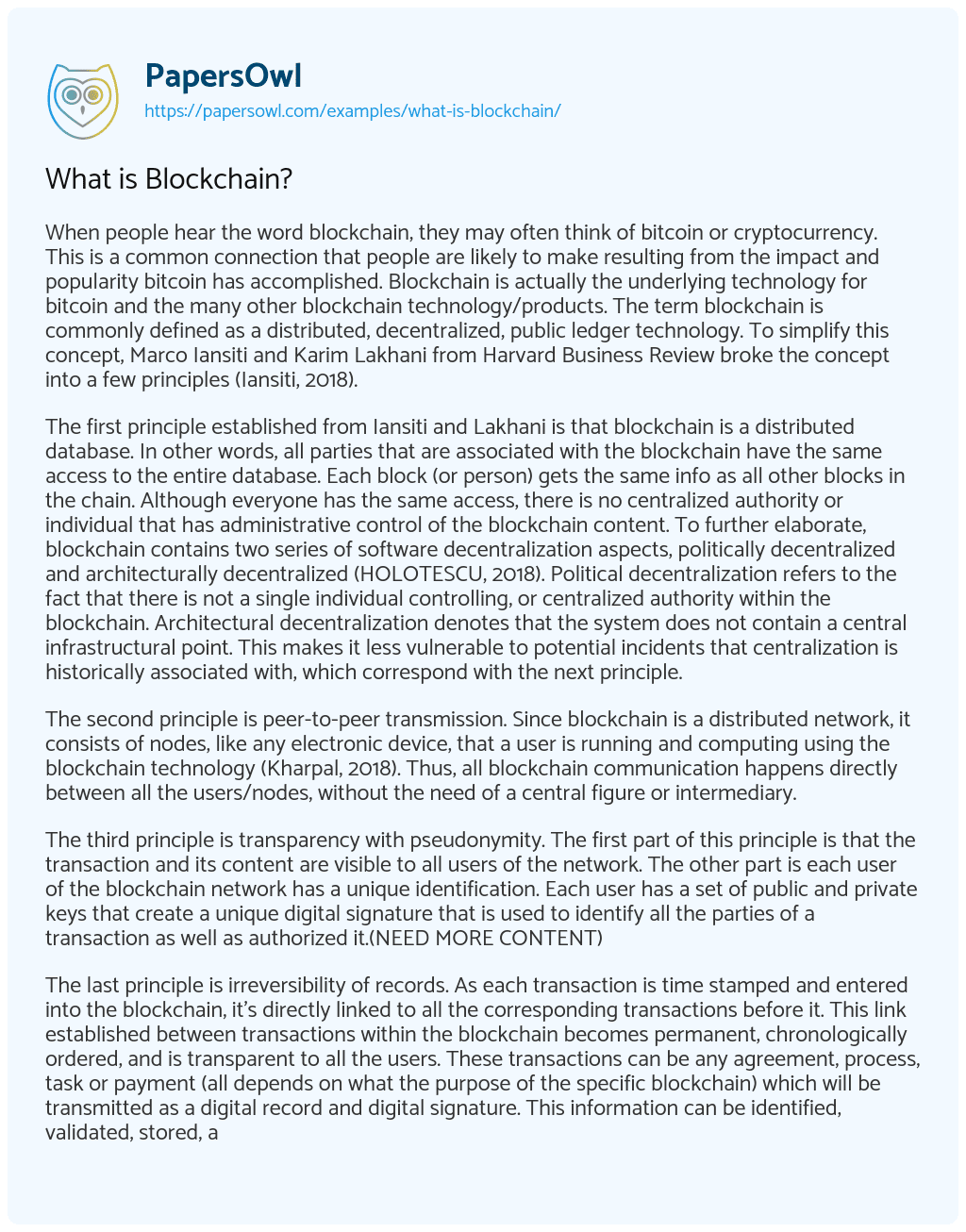 Essay on What is Blockchain?
