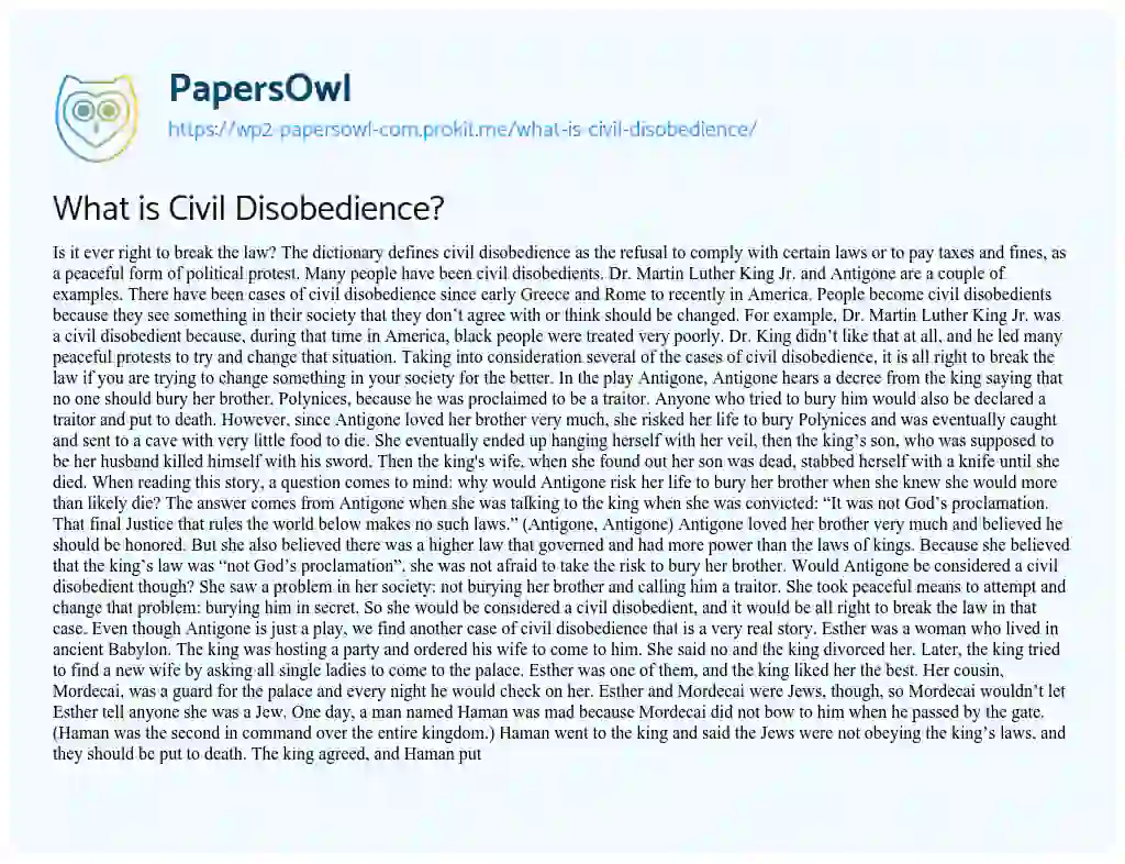 Essay on What is Civil Disobedience?