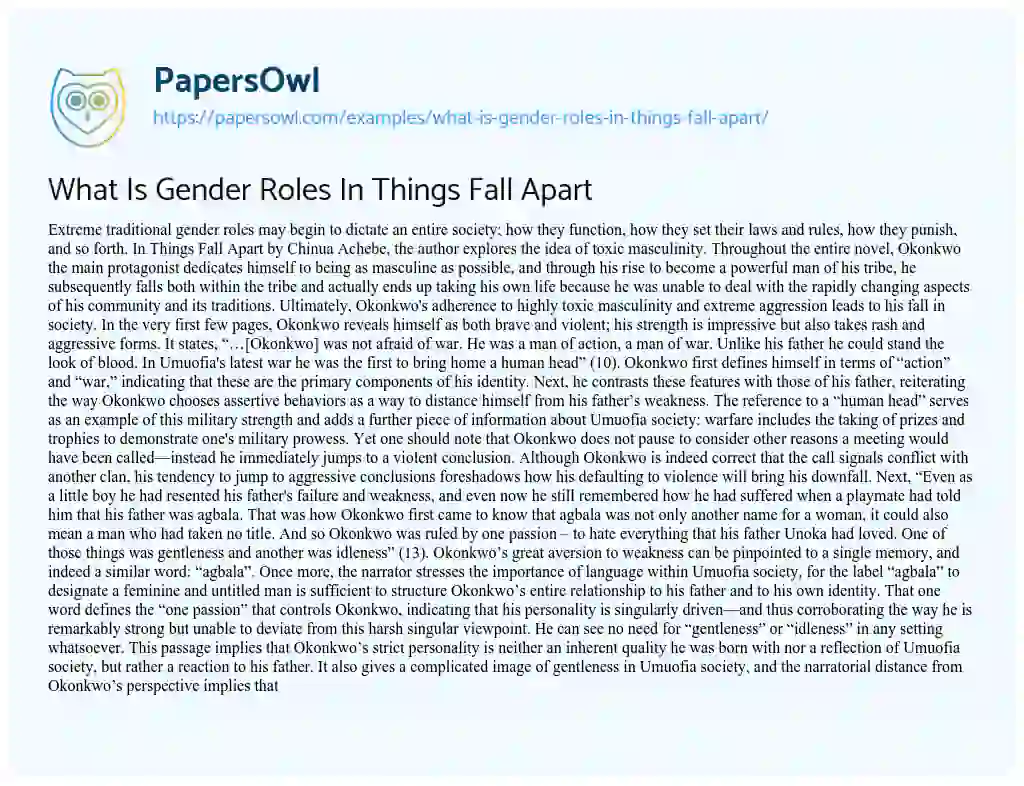 Essay on What is Gender Roles in Things Fall Apart