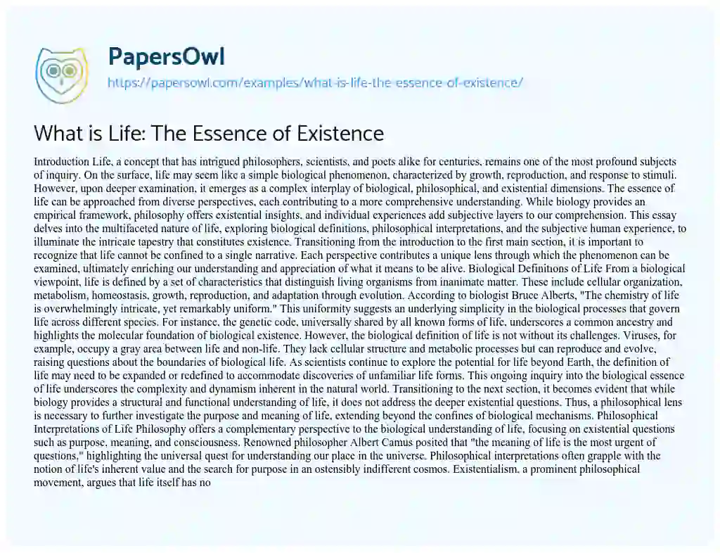 Essay on What is Life: The Essence of Existence