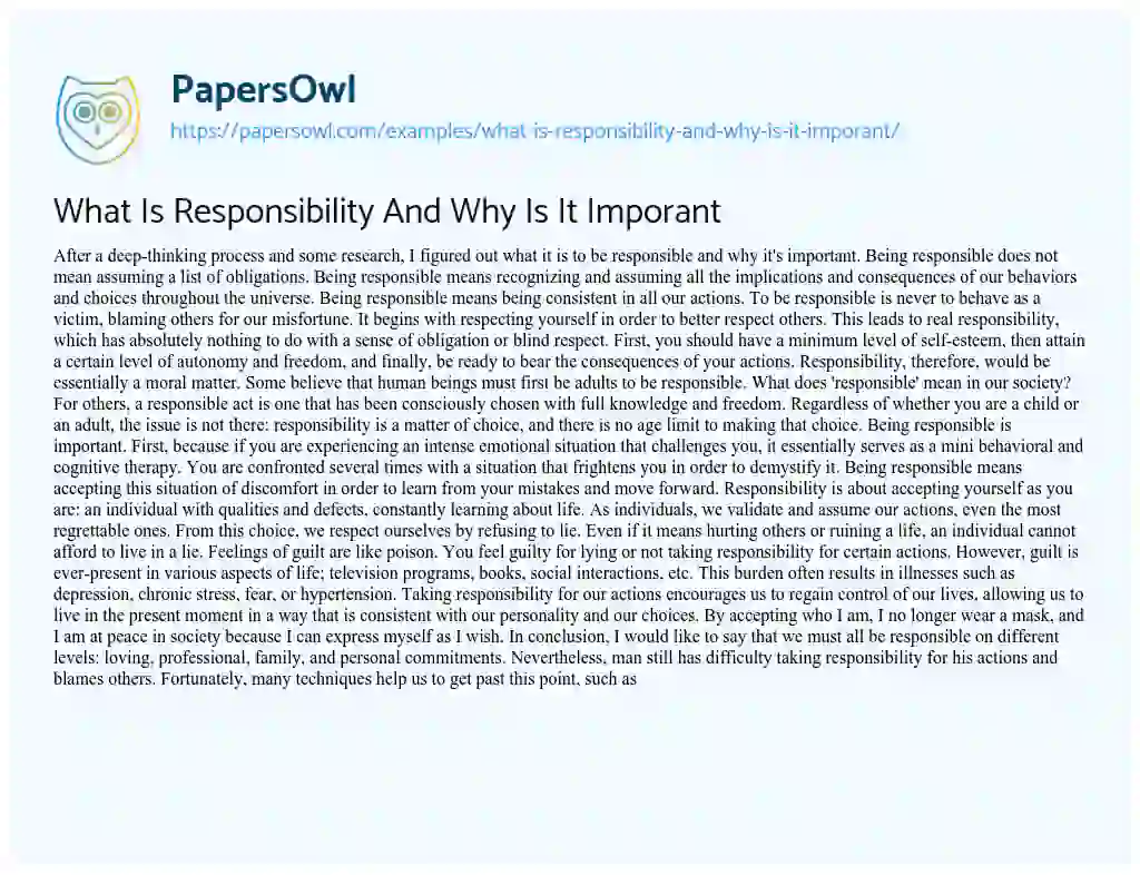 Essay on What is Responsibility and why is it Imporant
