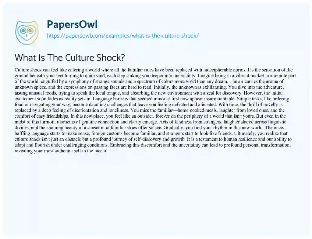 Essay on What is the Culture Shock?
