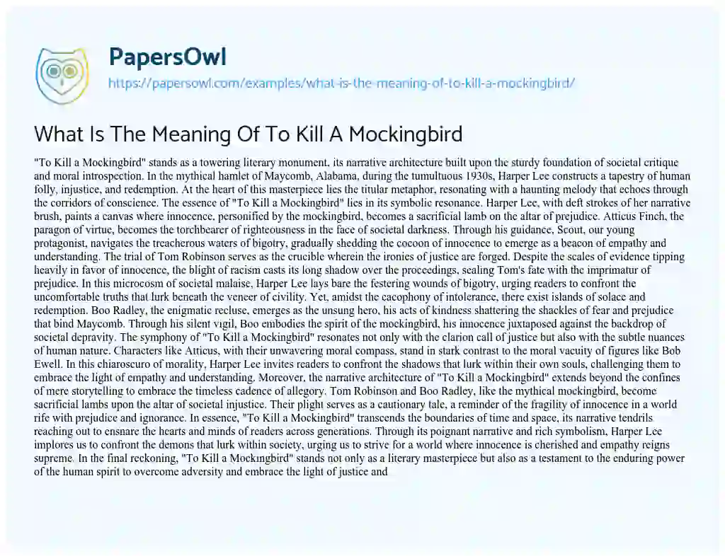 Essay on What is the Meaning of to Kill a Mockingbird