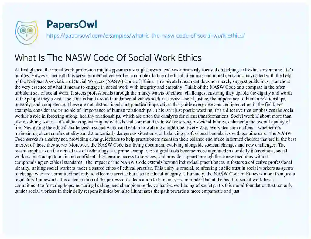 Essay on What is the NASW Code of Social Work Ethics