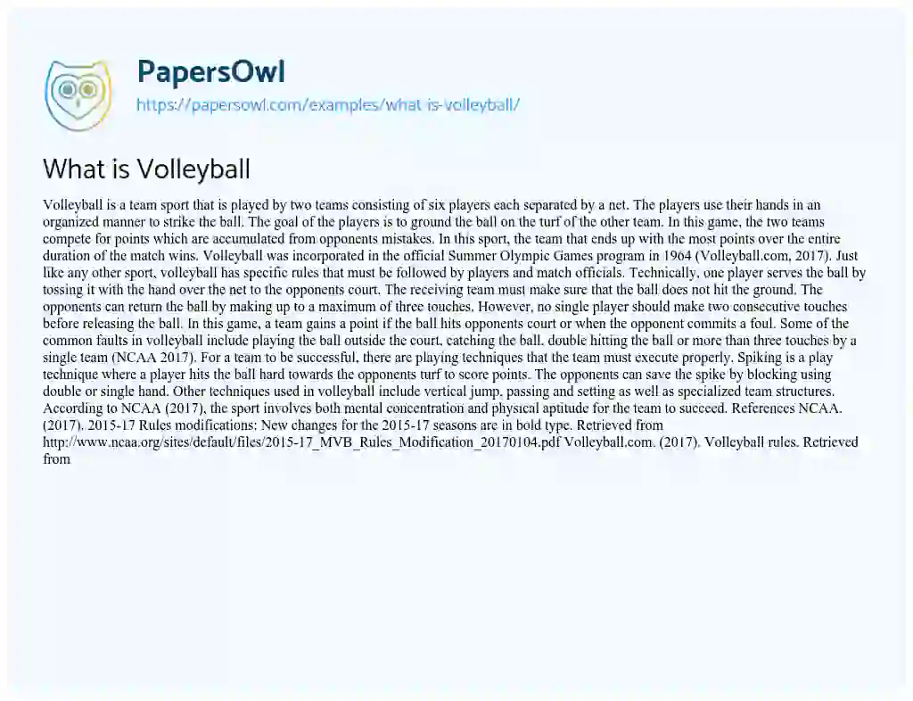 Essay on What is Volleyball