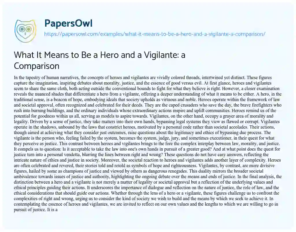 Essay on What it Means to be a Hero and a Vigilante: a Comparison