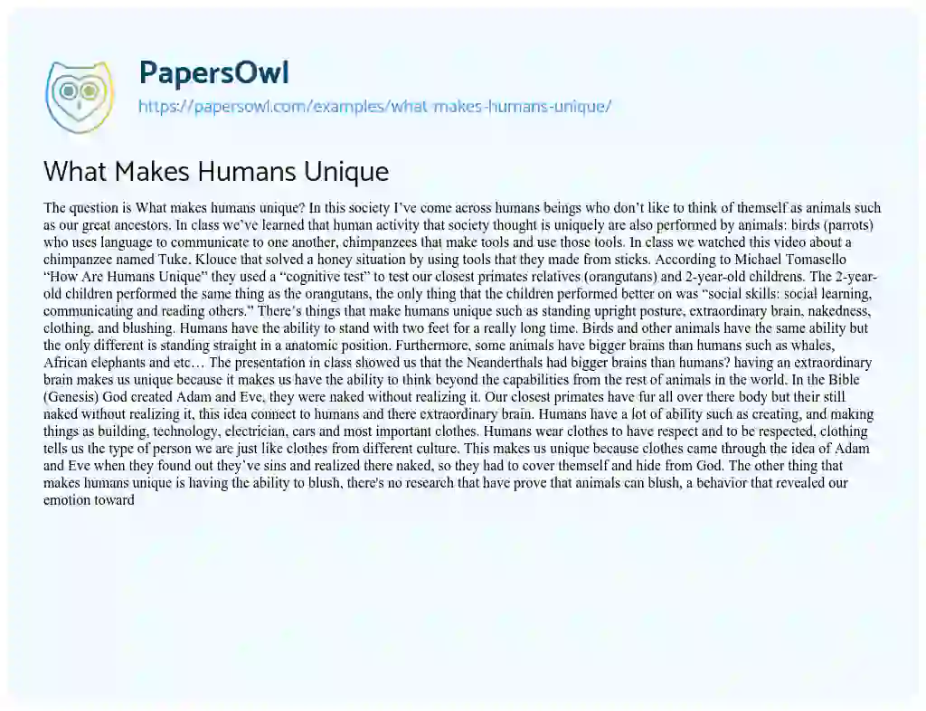 Essay on What Makes Humans Unique