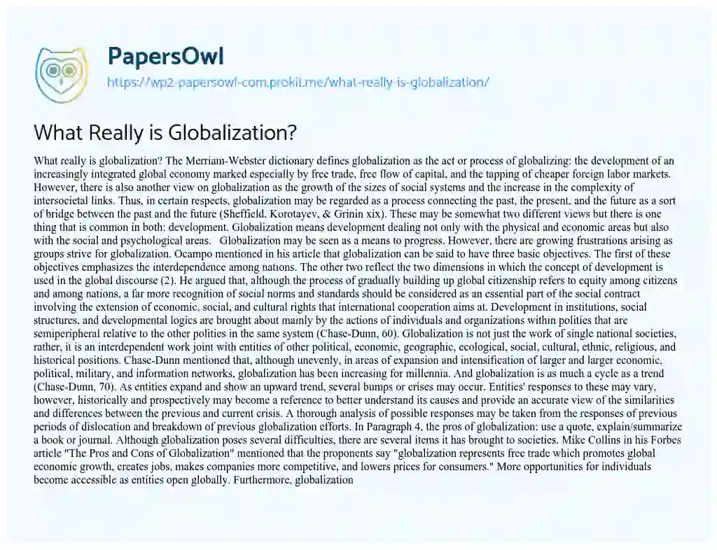 What Really is Globalization? essay